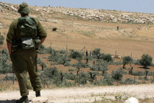اسرائیل قصد دارد ۲۰۲ هکتار از مزارع فلسطینی را به محل دفن زباله تبدیل کند