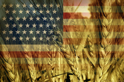 وقتی آمریکا به فکر اقتصاد مقاومتی در بخش کشاورزی است