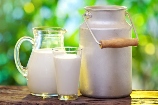 توافق دامداران و صنایع لبنی برای افزایش پلکانی قیمت شیرخام
