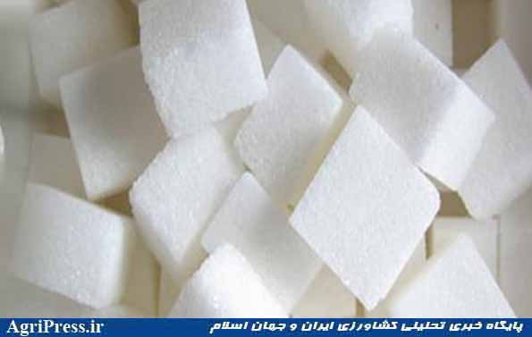 پیش‌بینی تولید ۵ میلیون تن چغندر در سال جاری/ رکورد ۲۰ ساله تولید شکر در کشور شکسته شد