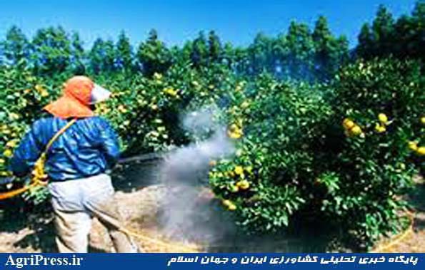 سموم چینی بی‌کیفیت؛ عامل آلودگی میوه‌های ایرانی
