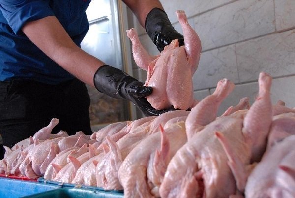 نرخ جدید مرغ و ماهی در بازار