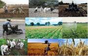 کوچکترین غفلت از بخش کشاورزی خیانت به کشور است/حمایت از کشاورزی یکی از اساسی ترین محورهای اقتصاد مقاومتی