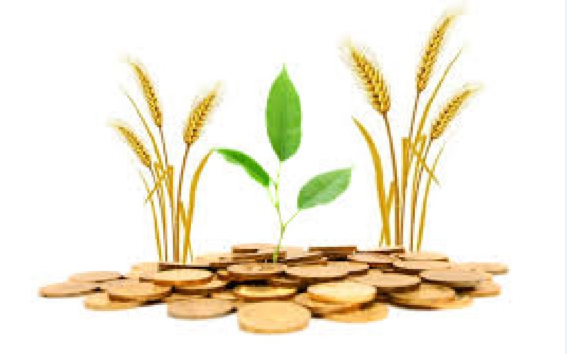 رشد سرمایه گذاری و تولید کشاورزی نتیجه کاهش سود تسهیلات