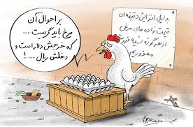 مرغ ۷۵۰۰ تومانی گران نیست/ قیمت کمتر از ۷۵۰۰ تومان مرغداری ها را تعطیل می کند