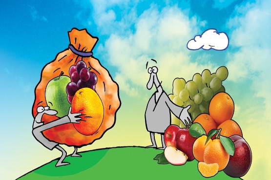 وزارت کشاورزی مسئول پیگیری میوه‌های قاچاق است