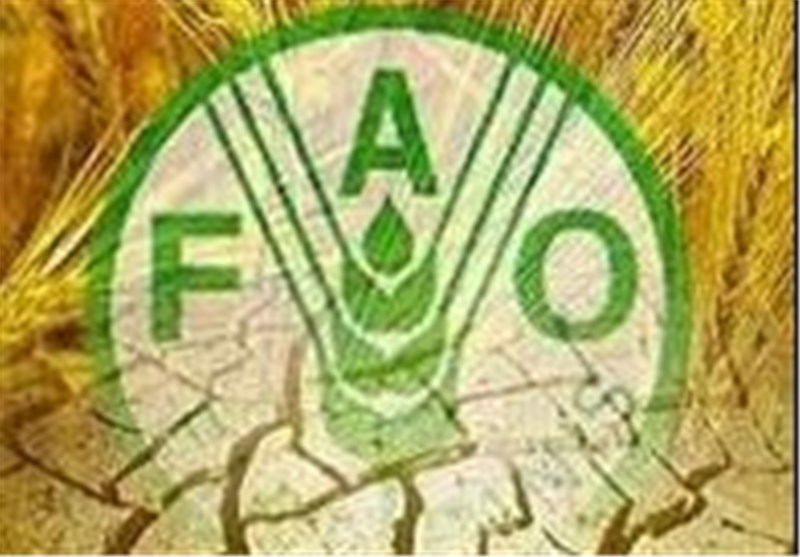 افت ۱۱ درصدی تولید گندم ایران در سال جاری/ خودکفایی ۱ ساله می‌شود؟