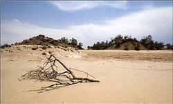 سالانه ۲ میلیارد تن خاک فرسایش می‌یابد/ شناسایی ۱۲۰ هزار هکتار کانون‌ بحرانی گردوغبار در خوزستان