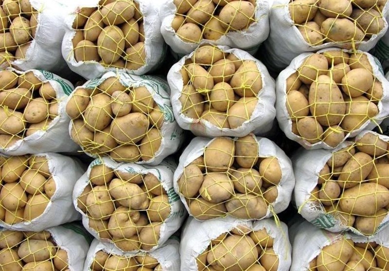 ایران در تولید “سیب‌زمینی” خودکفا شد