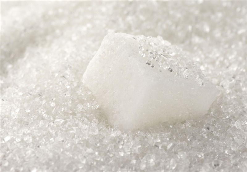 تولید شکر امسال ۲ برابر می‌شود
