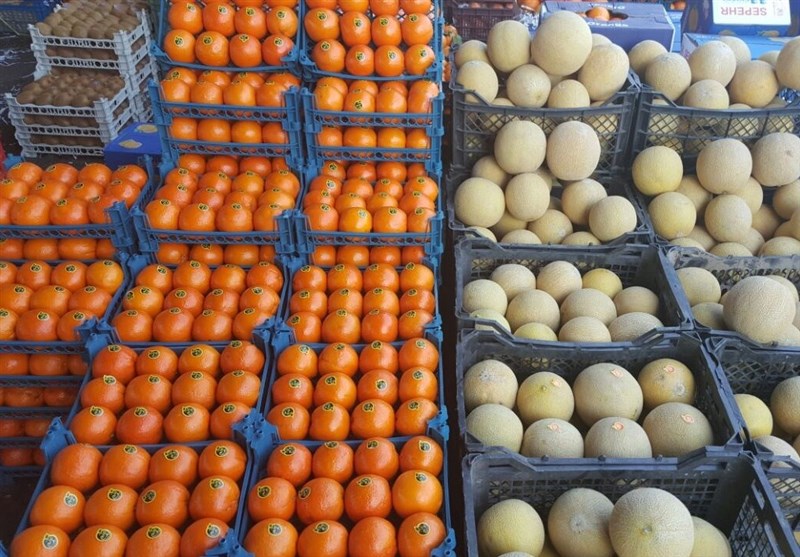 میوه‌های ایرانی به قطر رسید