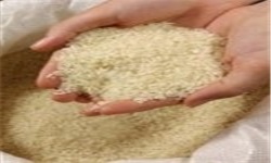 برنج ایرانی کد ۱۶ رقمی رهگیری می‌گیرد