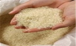 مهلت ثبت سفارش و ترخیص برنج وارداتی تا اول شهریور تمدید شد