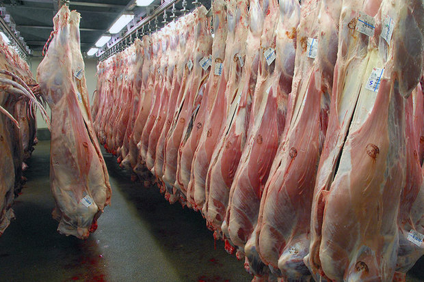 بازار گوشت قرمز اشباع شد/ از فعالیت رانت خواران جلوگیری شود