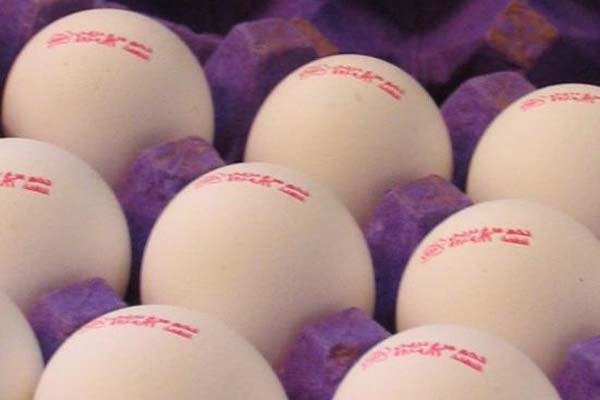 وجود ۱۶۰ هزارتن تخم مرغ مازاد/ صادرات بی رونق ماند