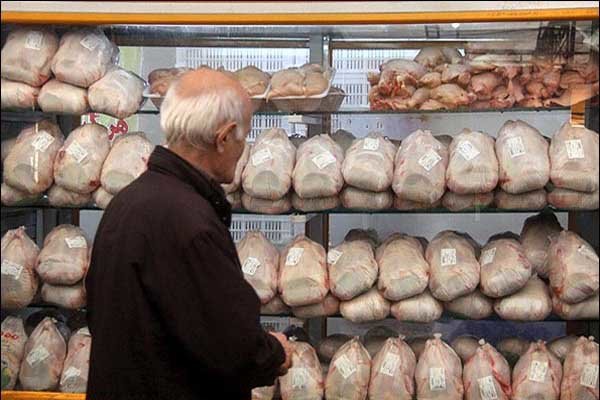 قیمت مرغ برای مصرف کننده تا ۷۵۰۰ تومان منطقی است