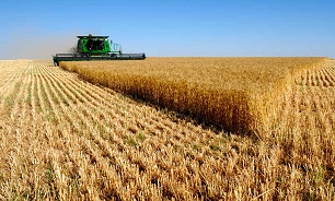 رویکرد بانک جهانی به تأمین مالی کشاورزی و روستایی