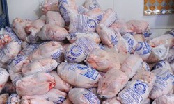 امکان حضور در بازارهای صادراتی مرغ را نداریم/ قیمت بالا و درشتی مرغ‌ها مانع صادرات