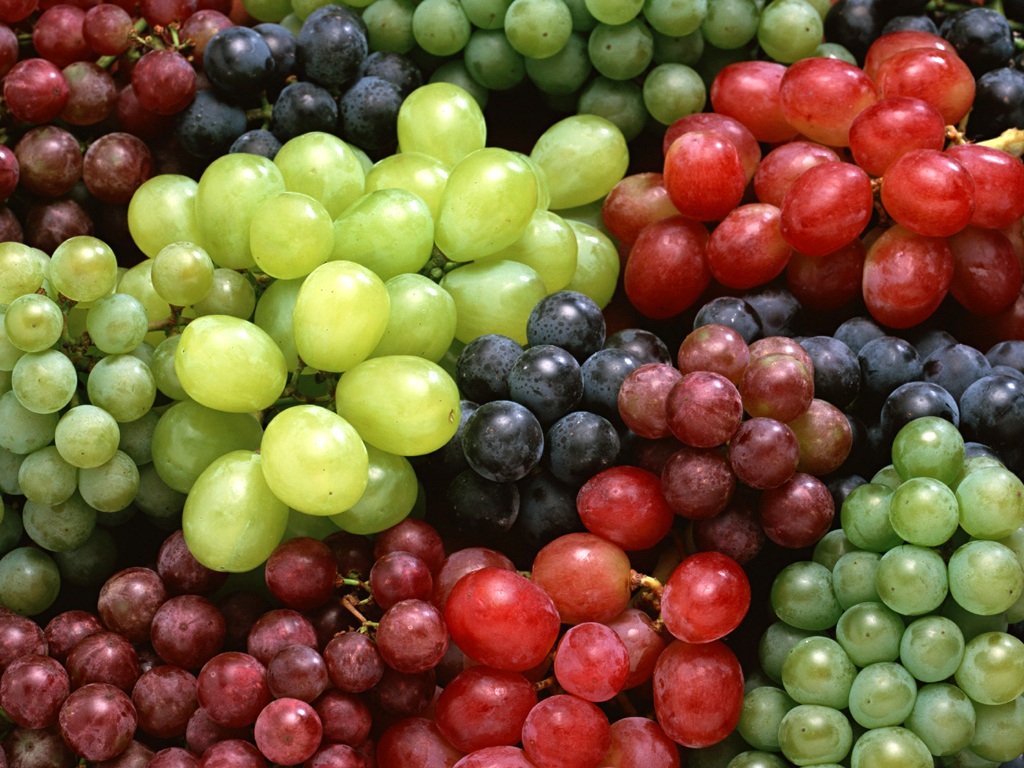 صادرات انگور تازه ایرانی تنها به ۲ کشور دنیا