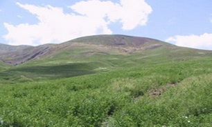 رفع تصرف بیش از ۹ هکتار اراضی ملی و کشاورزی در کرمان