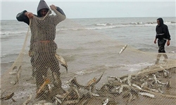 آغاز صید ماهیان استخوانی دریای‌خزر از ۲۰ مهرماه/ پساب کارخانجات عامل تلفات ماهیان دریای‌ خزر