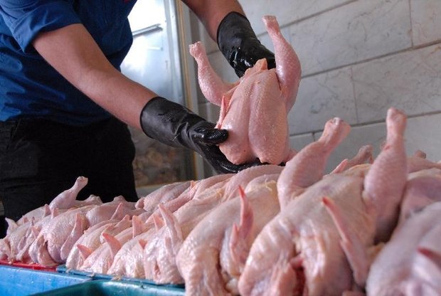 افزایش قیمت مرغ در صورت حذف ارز مبادله‌ای/مکاتبه با وزیر صنعت