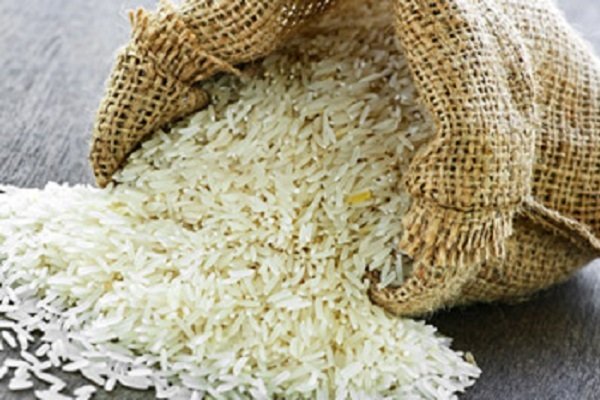 واردات برنج به کشوردر فصل برداشت/افزایش کشت در استانهای غیرشمالی
