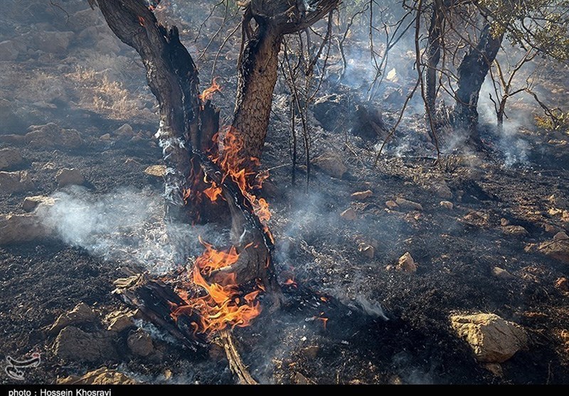 دستگیری ۴۰ نفر به‌دلیل آتش‌سوزی عمدی و غیرعمدی در جنگلها و مراتع کشور