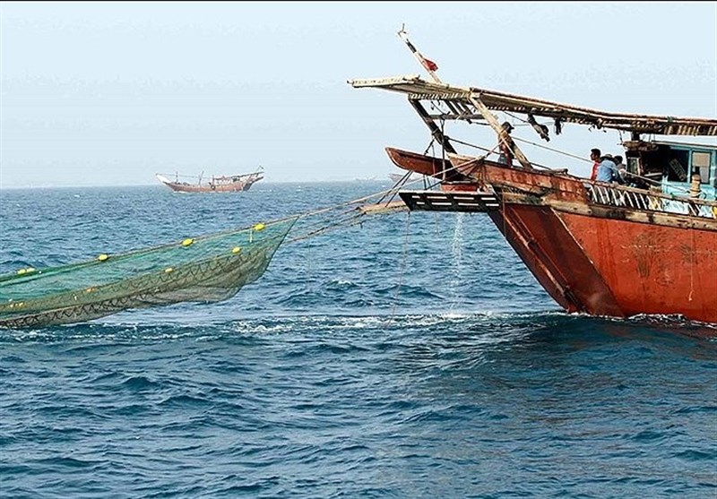 شیلات: کشتی های صیادی در سواحل جنوب از شیلات مجوز دارند