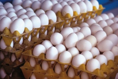 تعزیراتی کردن تخم‌مرغ غیرمنطقی است/نرخ هر کیلو تخم مرغ ۳ هزار و ۹۰۰ تومان