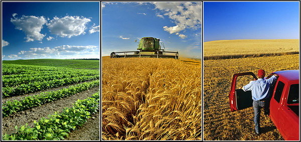 کشاورزی حفاظتی، دروازه ورود به تولید پایدار