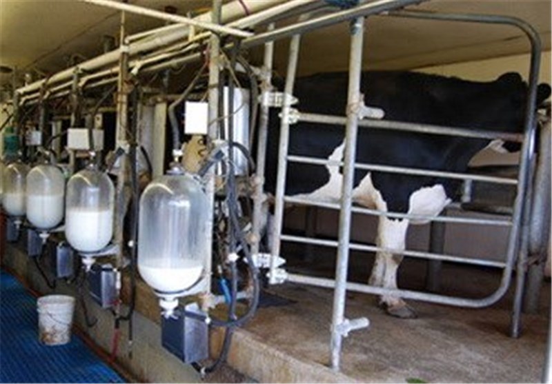 ادعای افزایش قیمت شیر بهانه‌‌ای برای واردات شیرخشک است