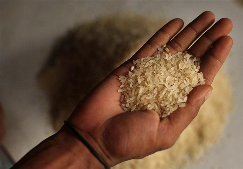 واردات ۱ میلیارد دلار برنج به کشور در ۷ ماه