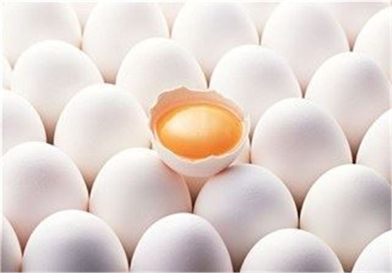 تخم‎‎ مرغ شانه‎ای ۱۶هزار تومان