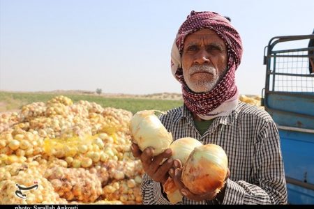 مطالبات مردمی/بازی با دسترنج کشاورزان/ وقتی که کشاورزان جنوب کرمان ورشکسته می شوند