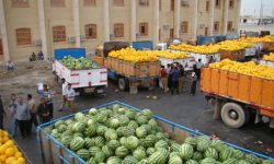 پیگیری اتاق بوشهر برای رفع موانع صادرات محصولات کشاورزی