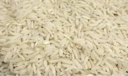 ریزش ۲۰ هزار تومانی قیمت برنج ایرانی/ نقش مافیای واردات در بازار برنج