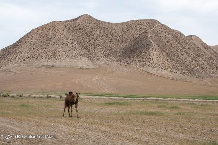 خشکسالی بی سابقه در ترکمن صحرا