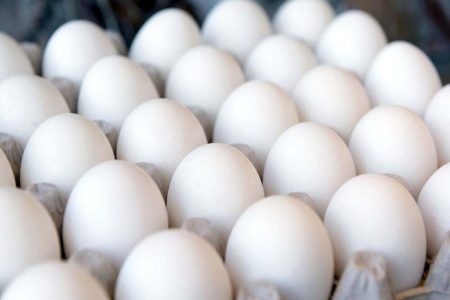 مردم از سال ۱۴۰۰ به جای مرغ و گوشت، بیشتر تخم مرغ می‌ خورند