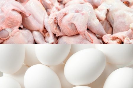 گرانی مرغ نتیجه غفلت از تأمین به‌موقع نهاده مرغ‌داری‌‌ و توزیع نامناسب‌