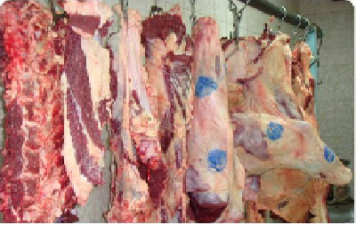 مجتمع صنعتی گوشت اردبیل با ۲۰ درصد ظرفیت فعال است