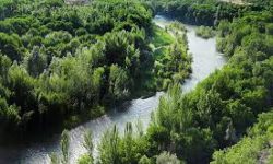 آخرین نوبت رهاسازی آب زاینده رود برای آبیاری باغ‌های غرب اصفهان انجام شد