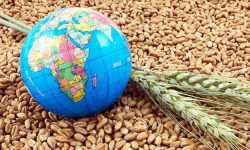 آیا جنگ سوم جهانی بر سر غذا و آب خواهد شد