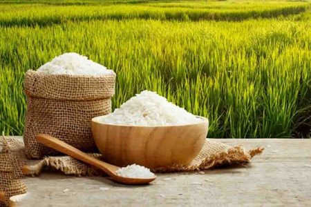 داستان تکراری دپوی برنج در انبارها/ آرزوهایی که محقق نمی شود