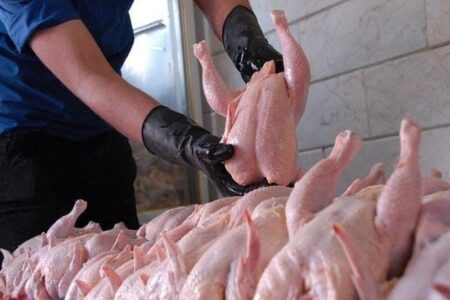 رشد ۵۳ درصدی عرضه گوشت طیور در فروردین امسال